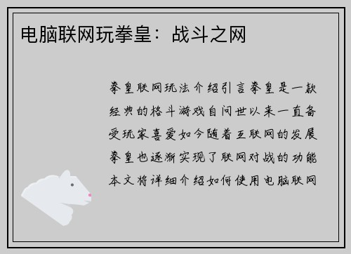 电脑联网玩拳皇：战斗之网